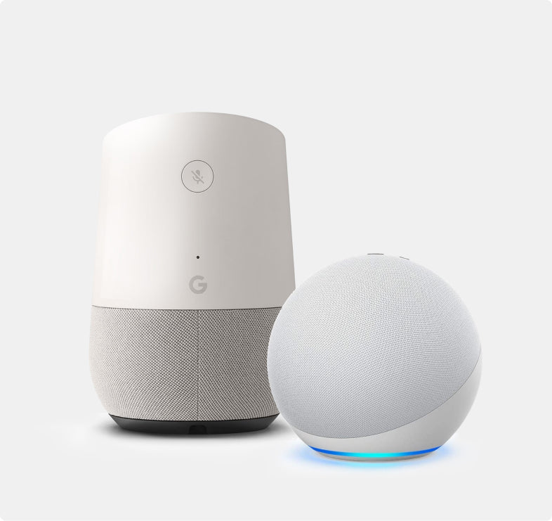 roborock app compatible with third-party voice control supported